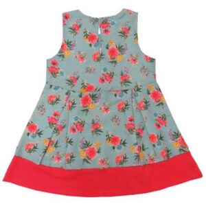 clothe funn baby girls floral printedaline dress